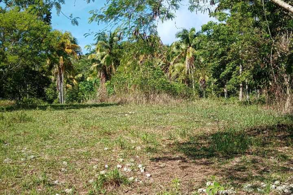 Land for Sale in Tagbitan-Ag, Samal, Davao del Norte – photo 5