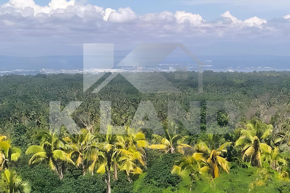 Land for Sale in Tagbitan-Ag, Samal, Davao del Norte