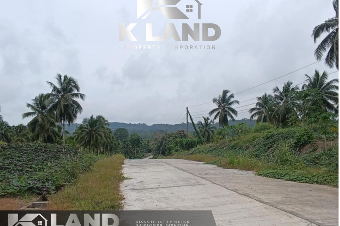 Land for Sale in Tagbitan-Ag, Samal, Davao del Norte – photo 4