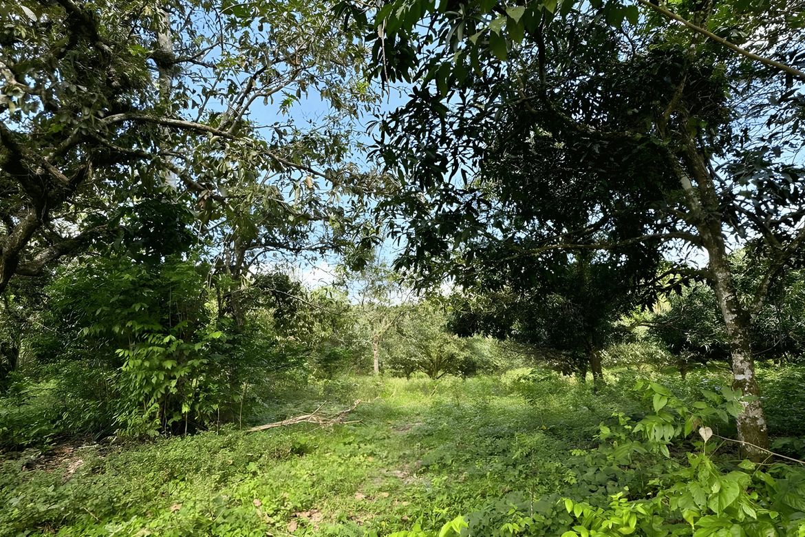 Land for Sale in Tagbitan-Ag, Samal, Davao del Norte – photo 3