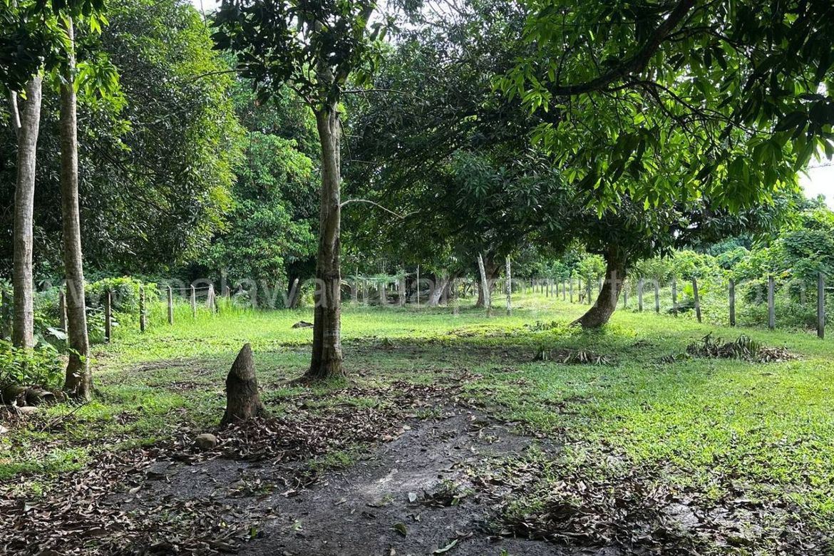 Land for Sale in Tagburos, Puerto Princesa, Palawan