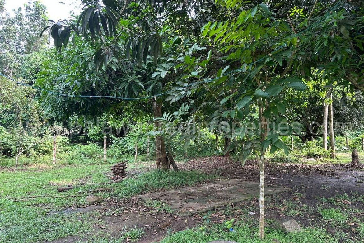 Land for Sale in Tagburos, Puerto Princesa, Palawan – photo 4