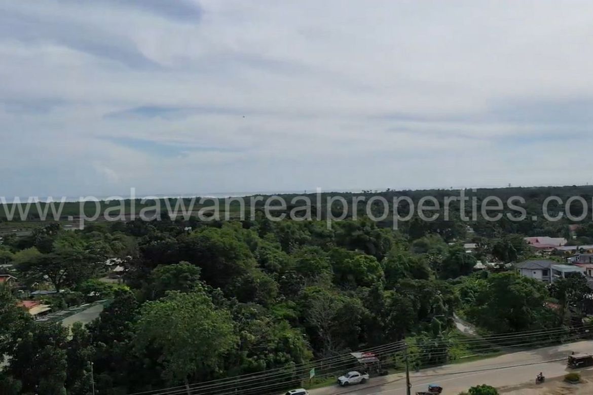 Land for Sale in Tagburos, Puerto Princesa, Palawan – photo 5