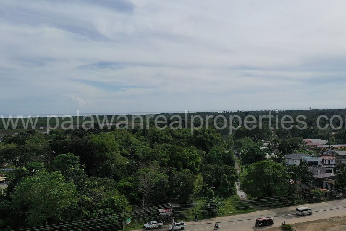 Land for Sale in Tagburos, Puerto Princesa, Palawan – photo 7
