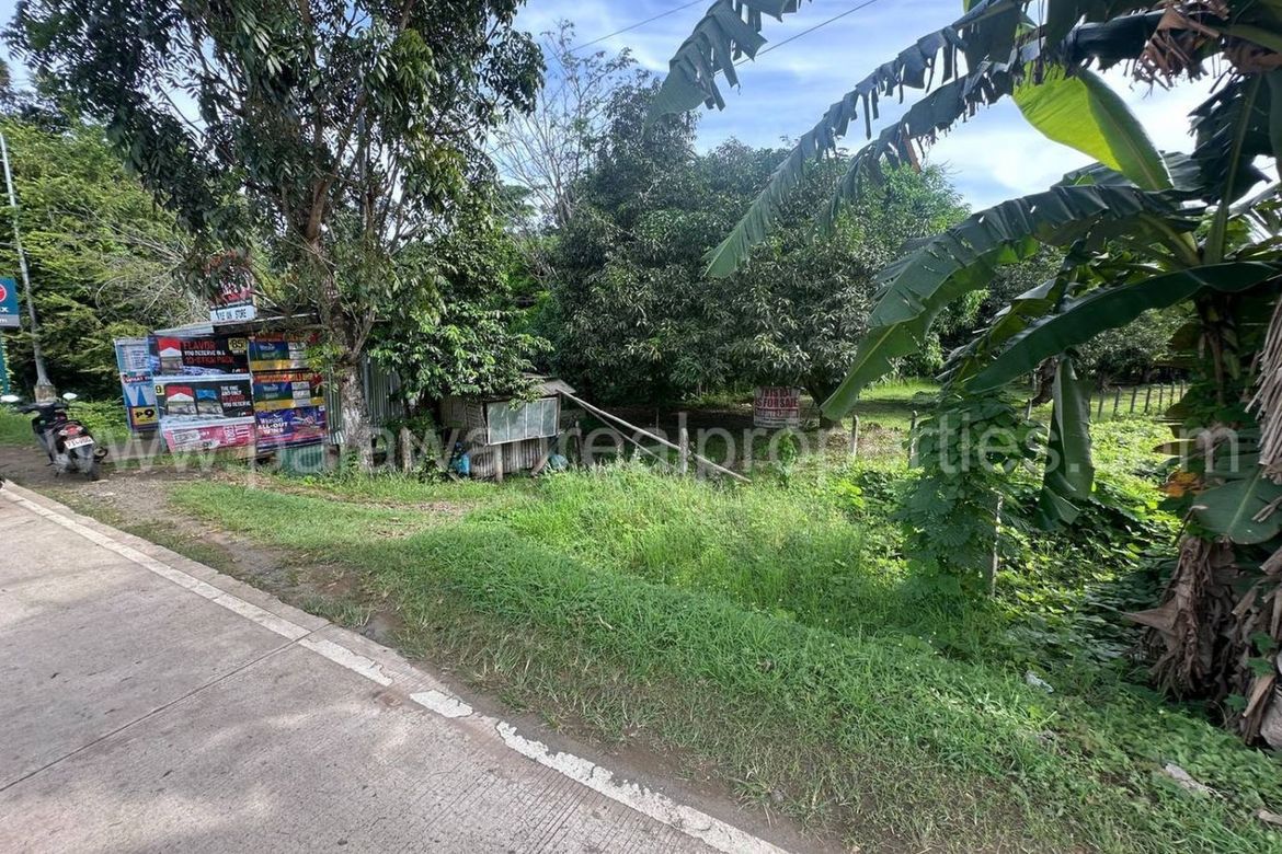 Land for Sale in Tagburos, Puerto Princesa, Palawan – photo 8
