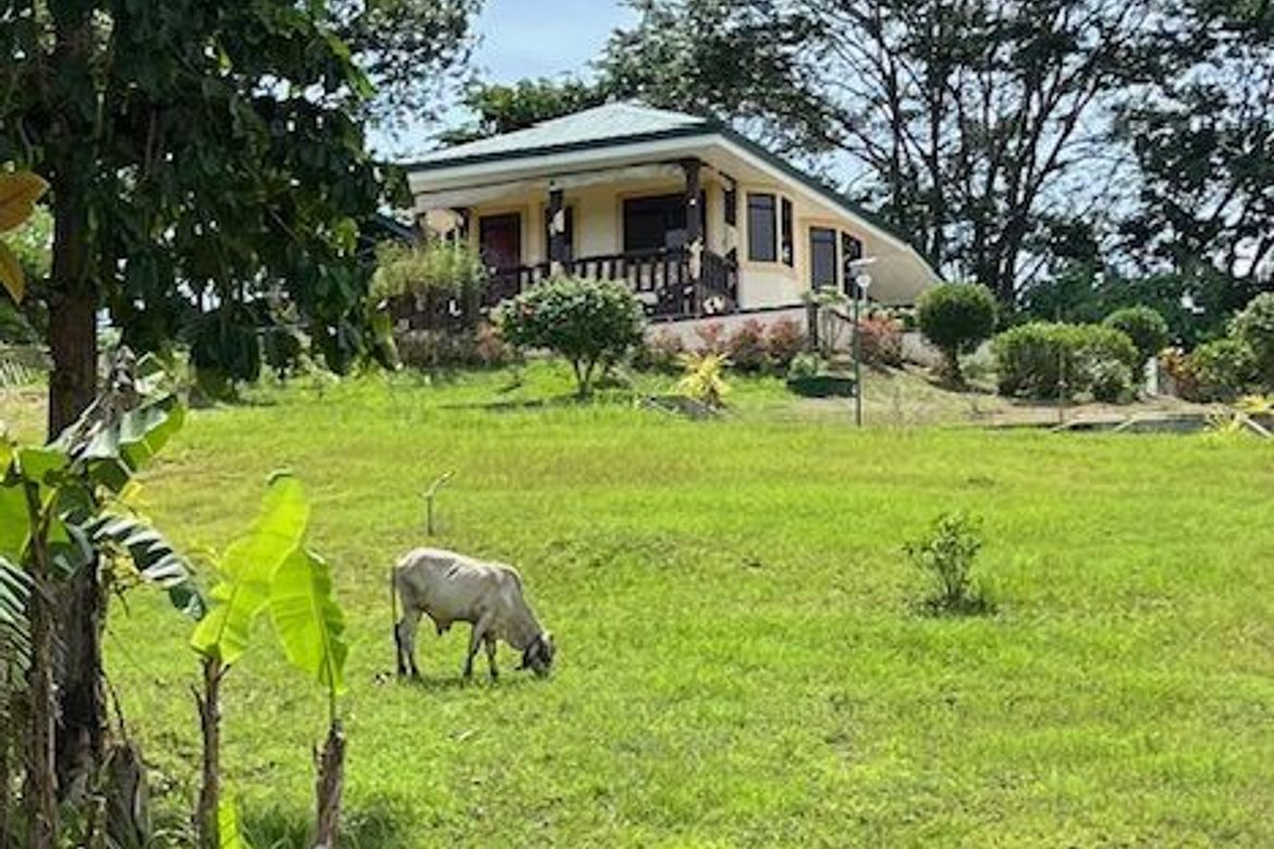 Land for Sale in Tagburos, Puerto Princesa, Palawan