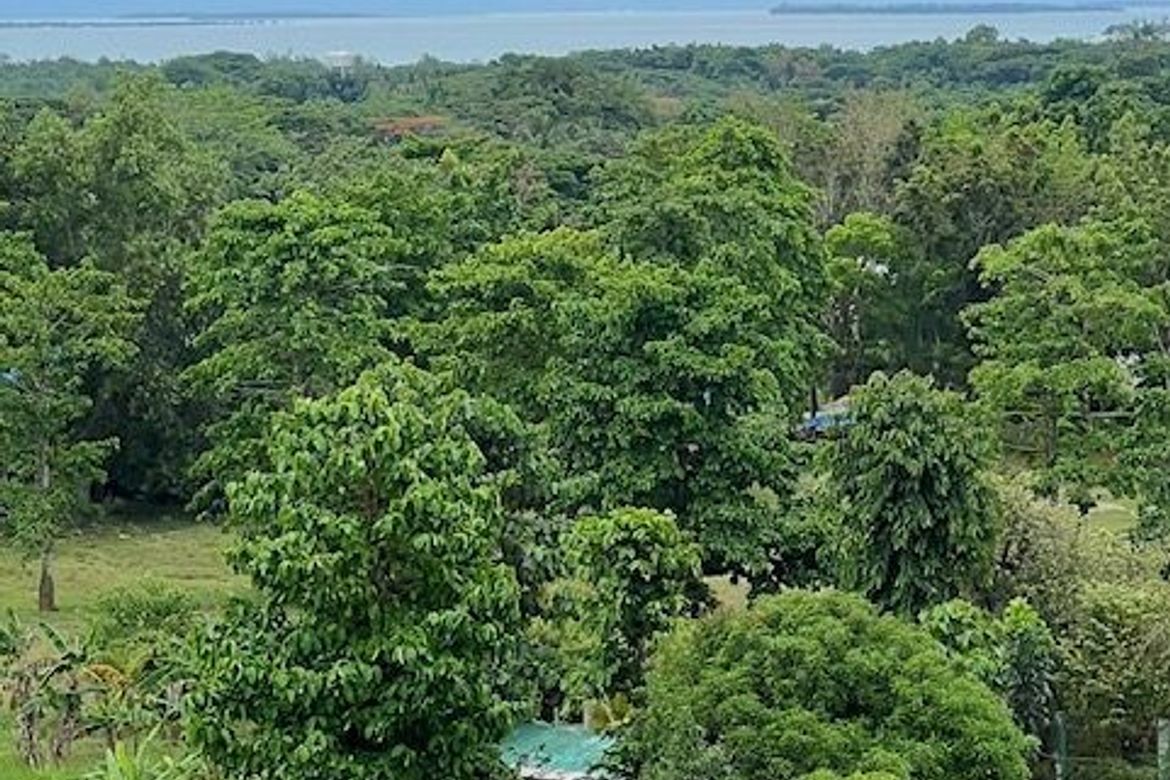 Land for Sale in Tagburos, Puerto Princesa, Palawan – photo 2