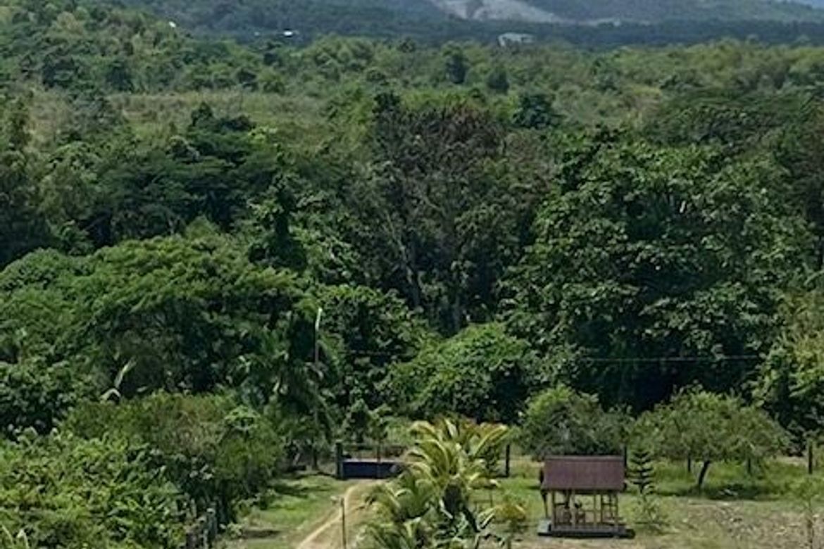 Land for Sale in Tagburos, Puerto Princesa, Palawan – photo 3