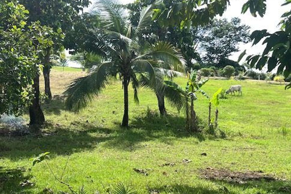 Land for Sale in Tagburos, Puerto Princesa, Palawan – photo 5