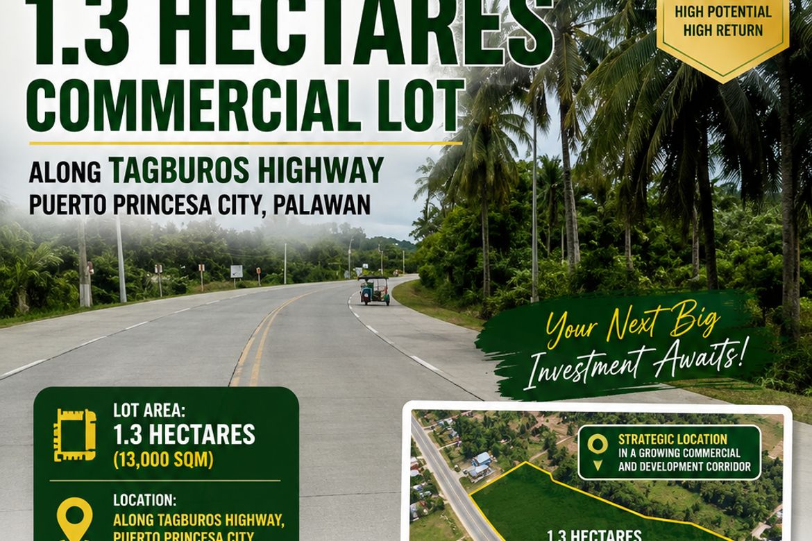Land for Sale in Tagburos, Puerto Princesa, Palawan