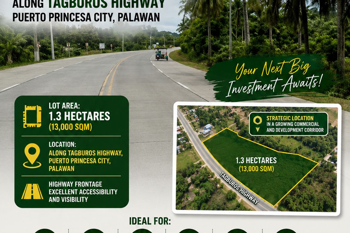 Land for Sale in Tagburos, Puerto Princesa, Palawan – photo 2