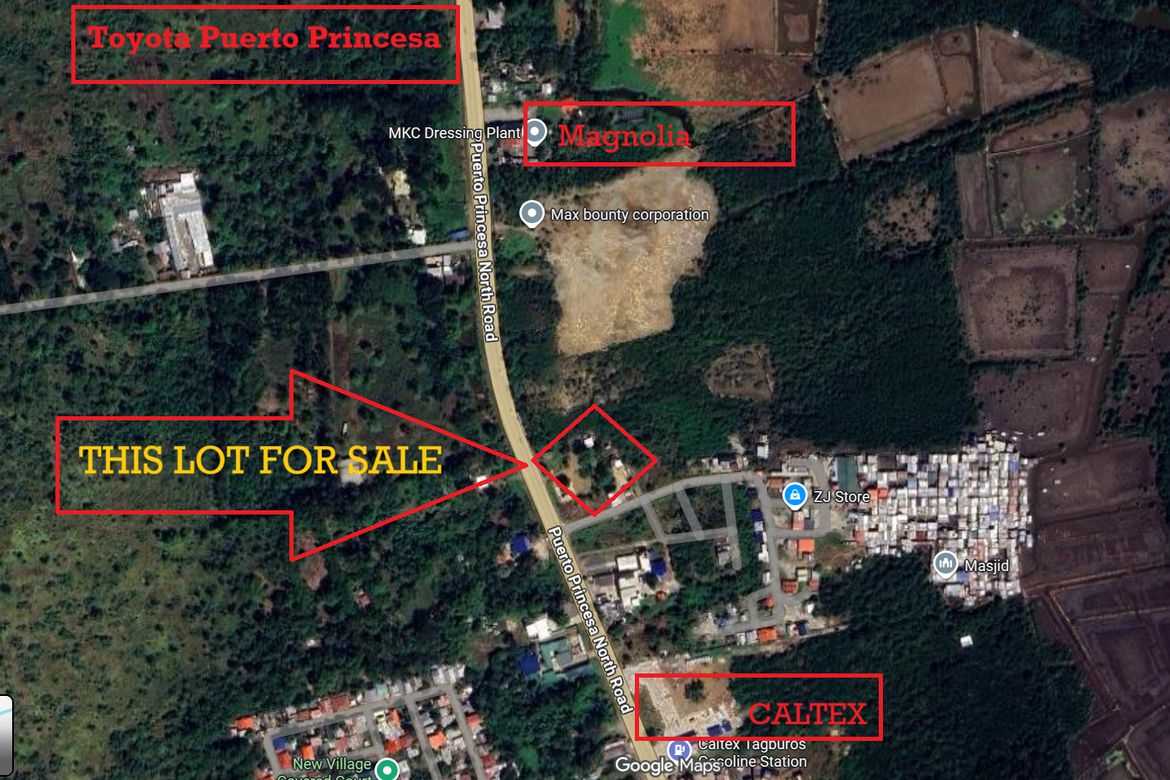 Land for Sale in Tagburos, Puerto Princesa, Palawan – photo 3