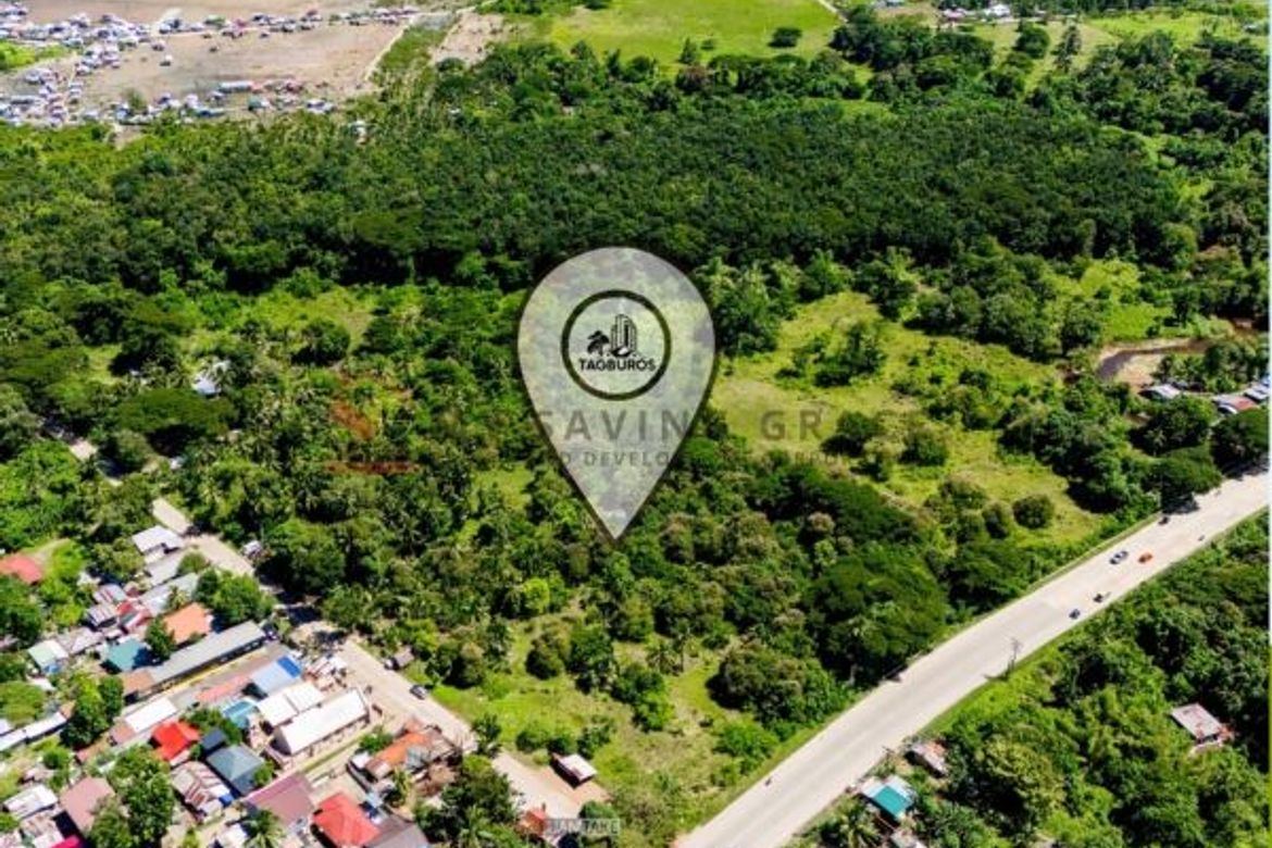 Land for Sale in Tagburos, Puerto Princesa, Palawan – photo 2