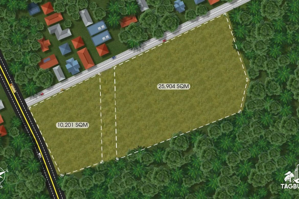 Land for Sale in Tagburos, Puerto Princesa, Palawan – photo 2