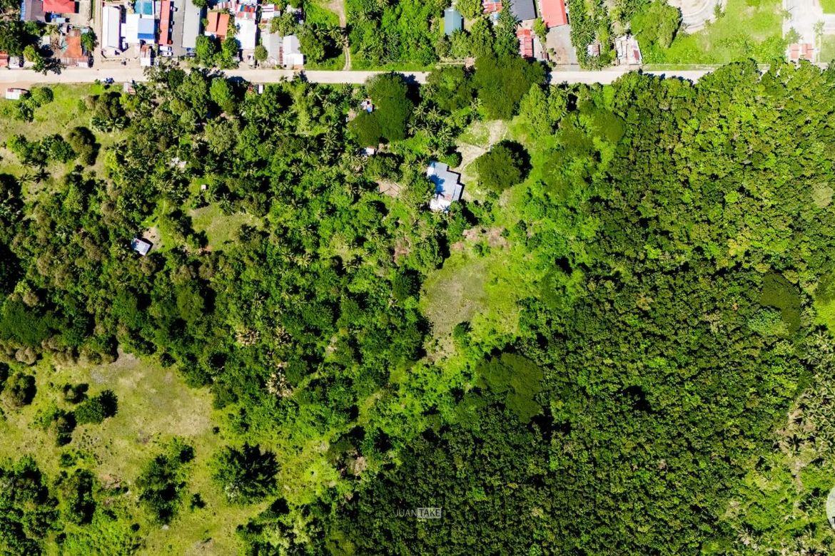 Land for Sale in Tagburos, Puerto Princesa, Palawan – photo 7