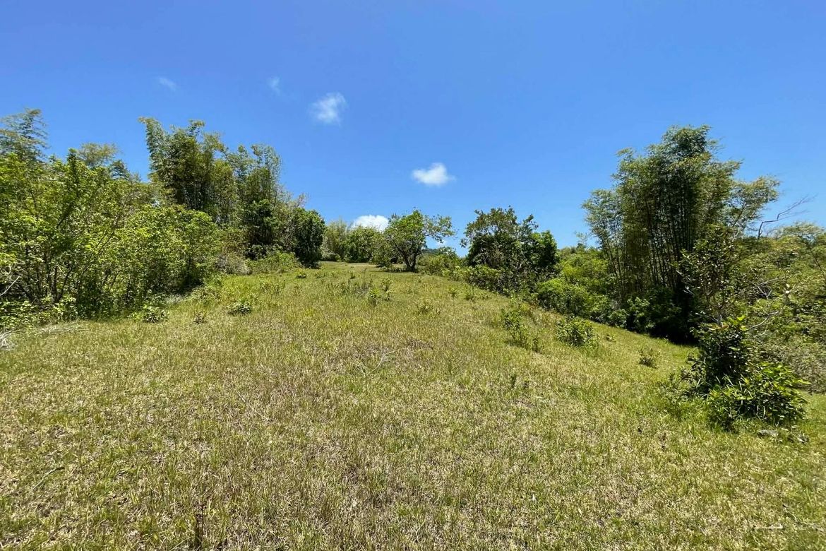 Land for Sale in Tagmanocan, Lazi, Siquijor