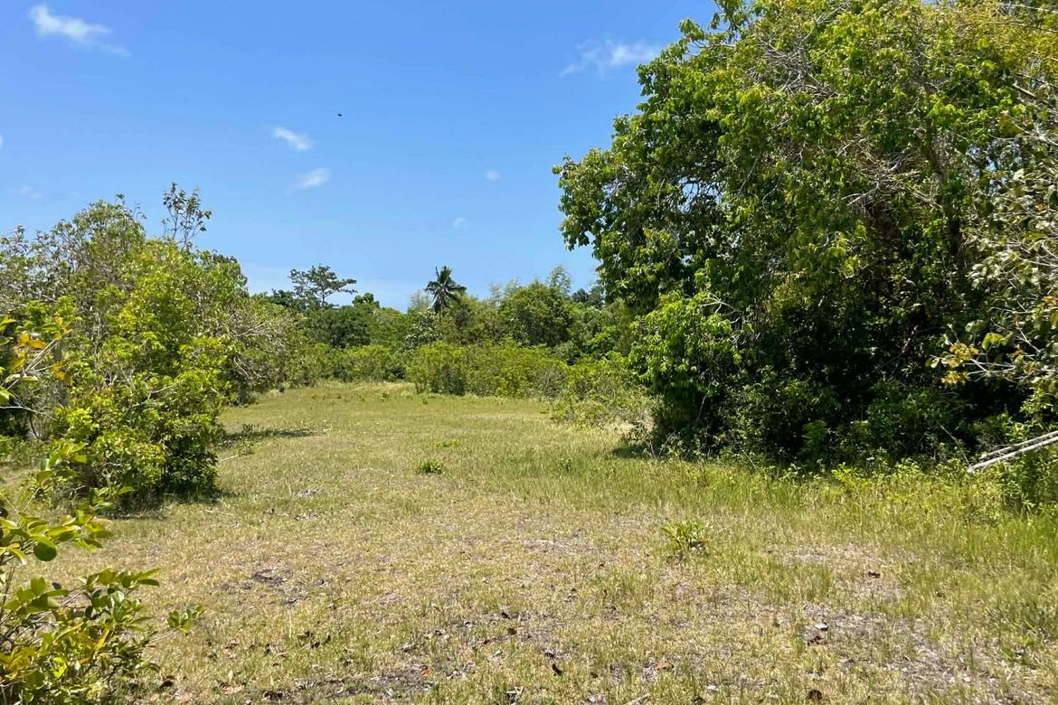 Land for Sale in Tagmanocan, Lazi, Siquijor – photo 3