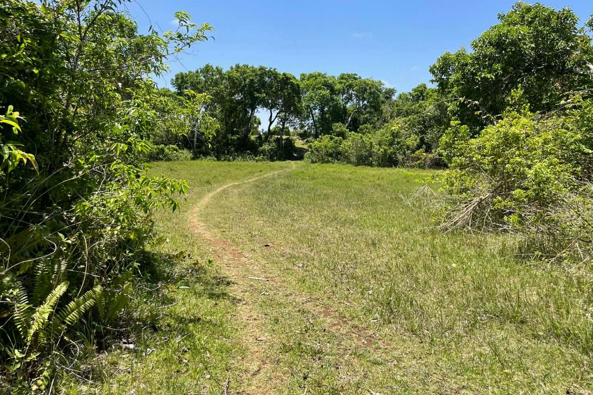 Land for Sale in Tagmanocan, Lazi, Siquijor – photo 4