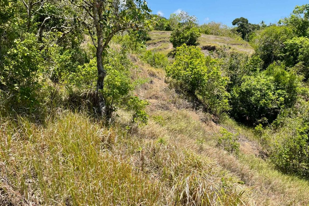 Land for Sale in Tagmanocan, Lazi, Siquijor – photo 8