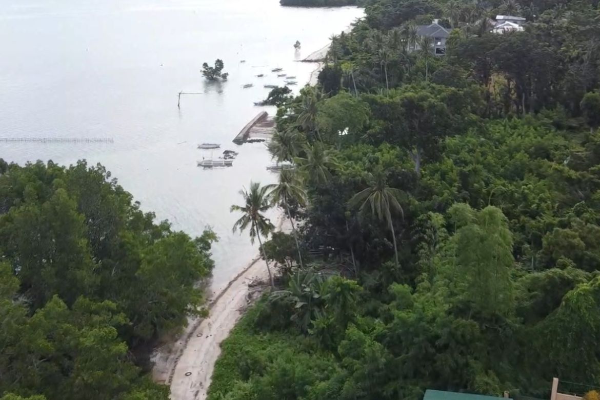 Land for Sale in Taguihon, Baclayon, Bohol – photo 2