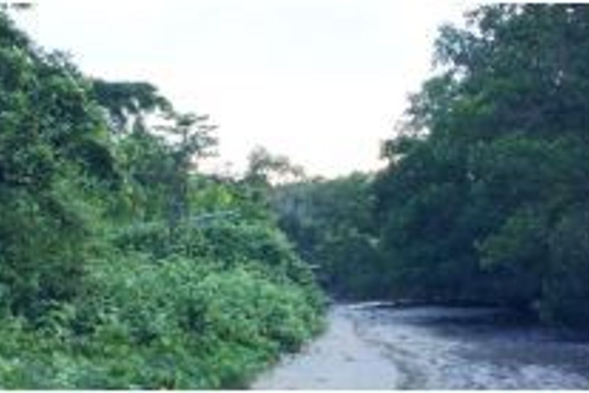 Land for Sale in Taguihon, Baclayon, Bohol – photo 5