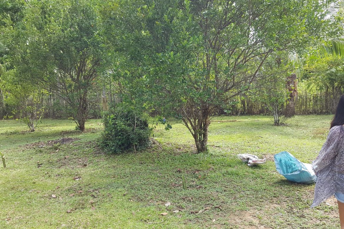 Land for Sale in Tagumpay, Real, Quezon – photo 4