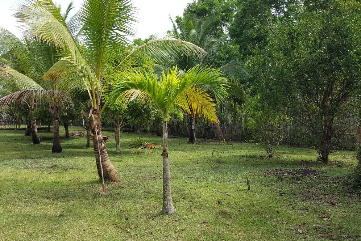 Land for Sale in Tagumpay, Real, Quezon – photo 5