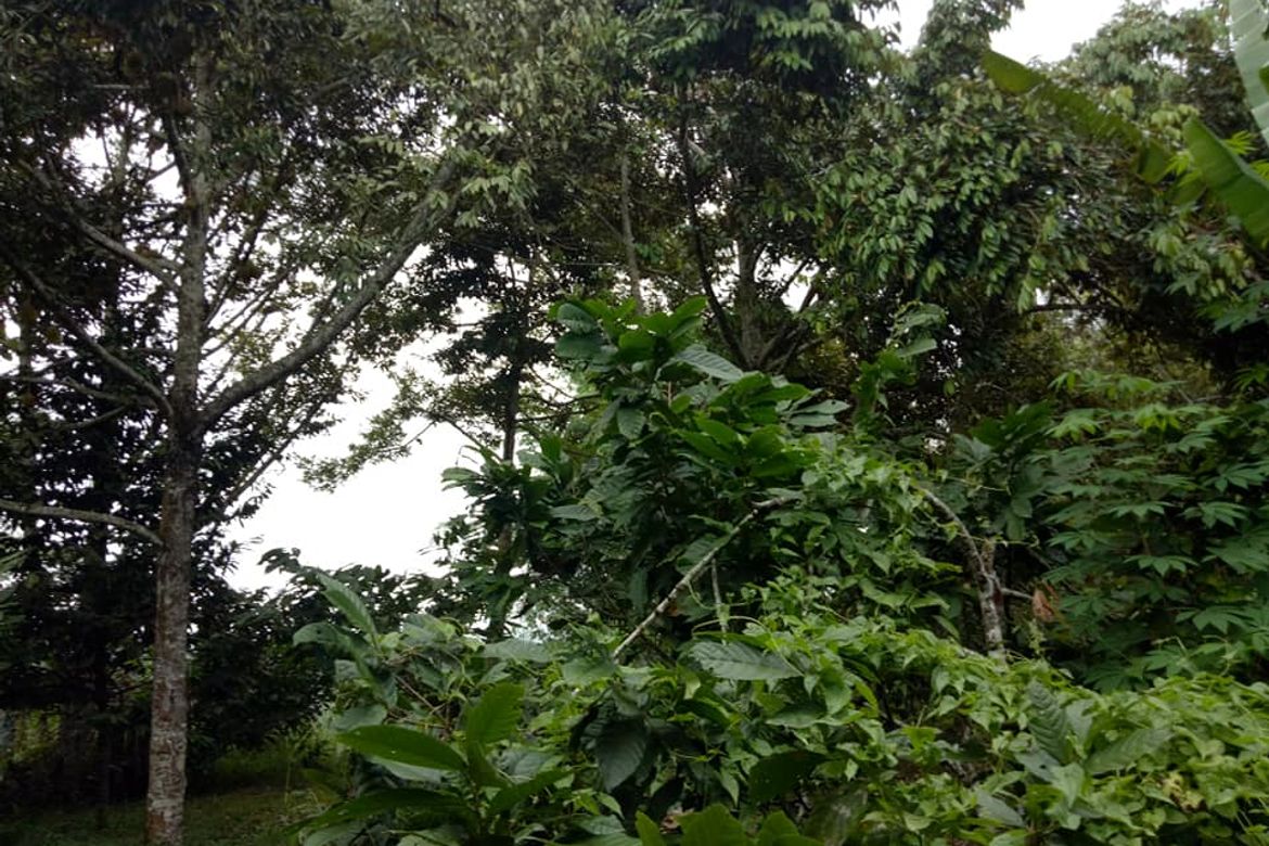Land for Sale in Tagurano, Davao City, Davao del Sur