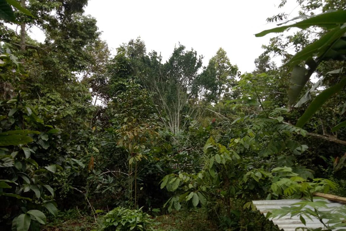 Land for Sale in Tagurano, Davao City, Davao del Sur – photo 3