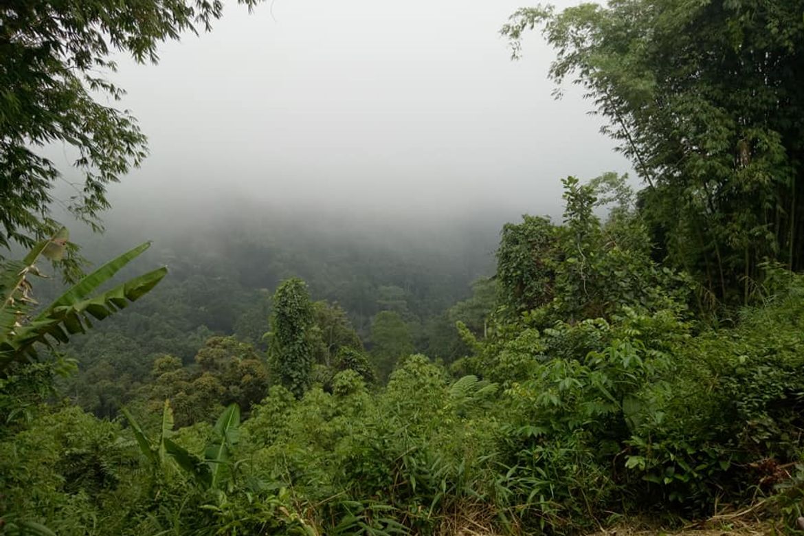 Land for Sale in Tagurano, Davao City, Davao del Sur – photo 4