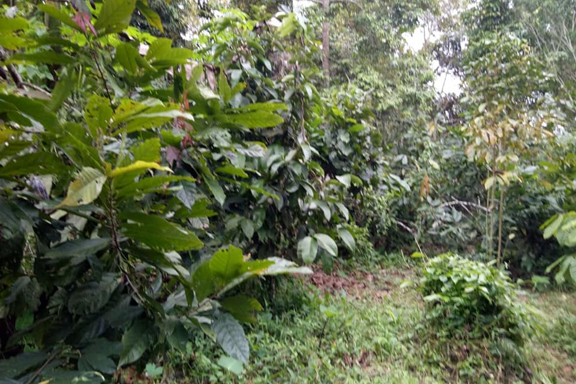 Land for Sale in Tagurano, Davao City, Davao del Sur – photo 7