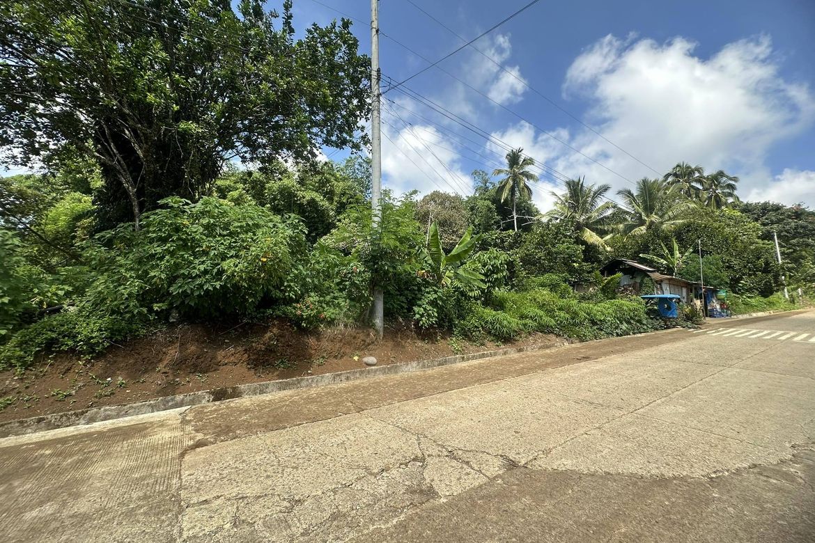 Land for Sale in Tagurano, Davao City, Davao del Sur – photo 2
