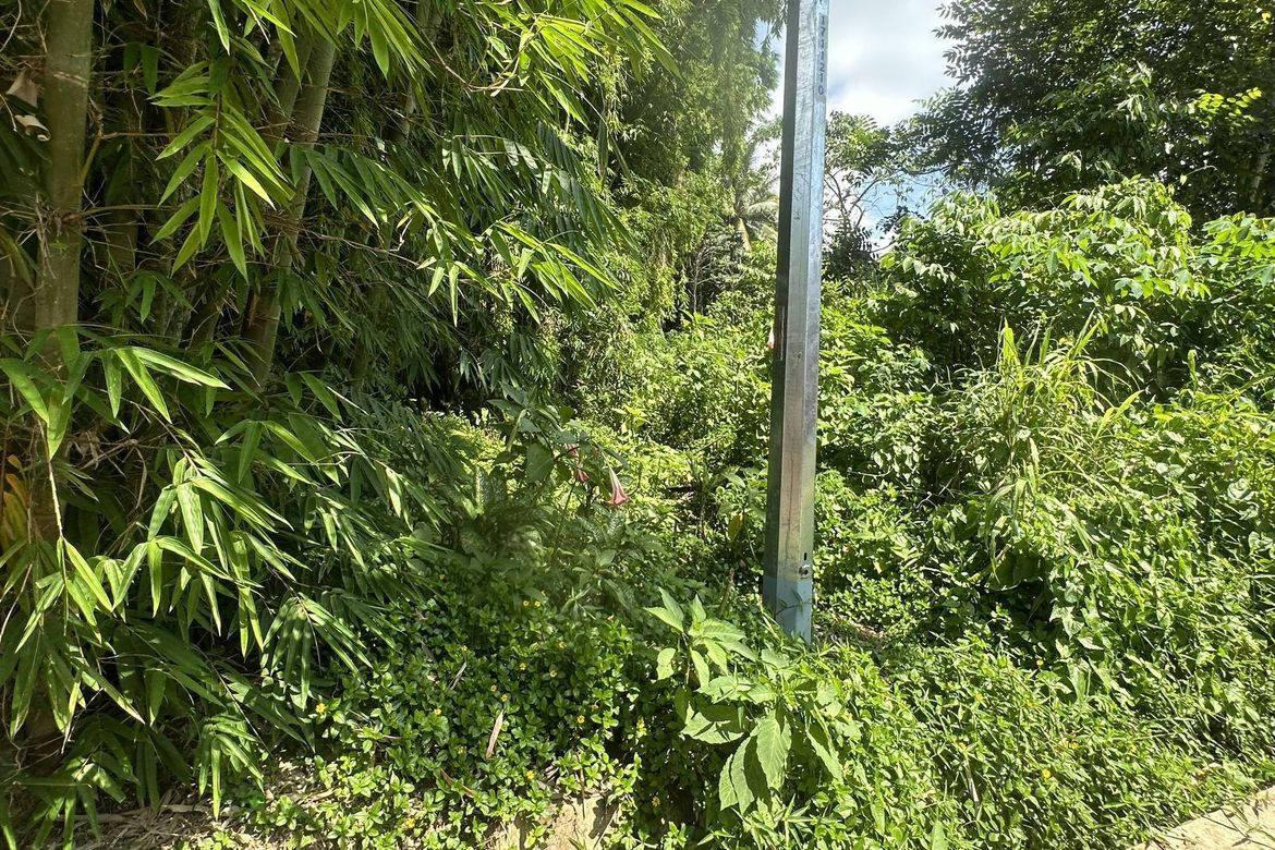 Land for Sale in Tagurano, Davao City, Davao del Sur – photo 5