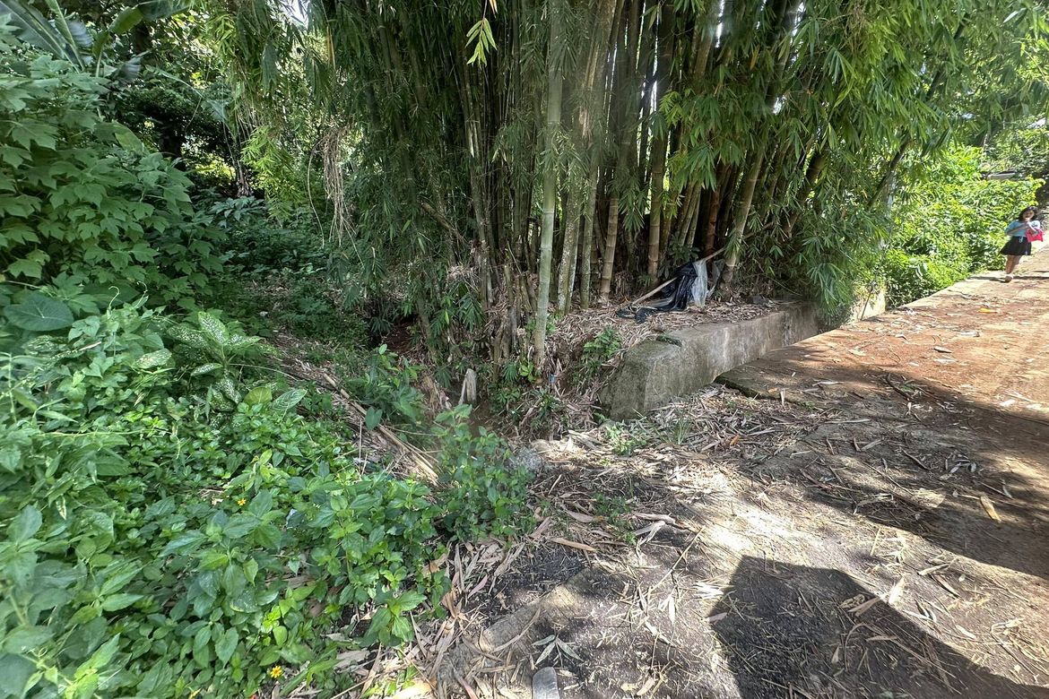 Land for Sale in Tagurano, Davao City, Davao del Sur – photo 6