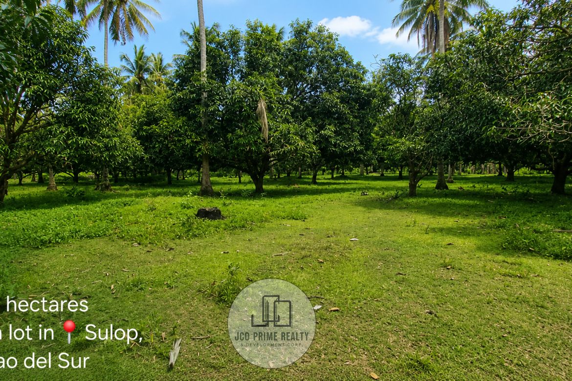 Land for Sale in Tala-O, Sulop, Davao del Sur