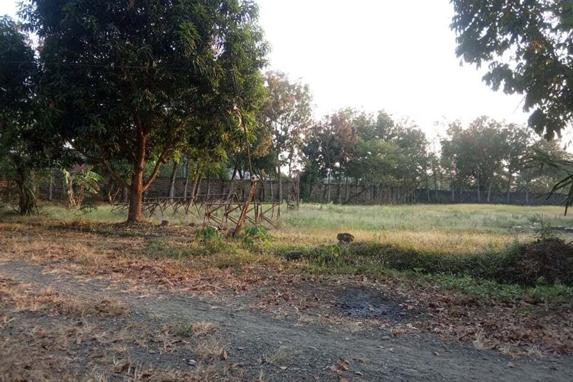 Land for Sale in Talacsan, San Rafael, Bulacan – photo 4