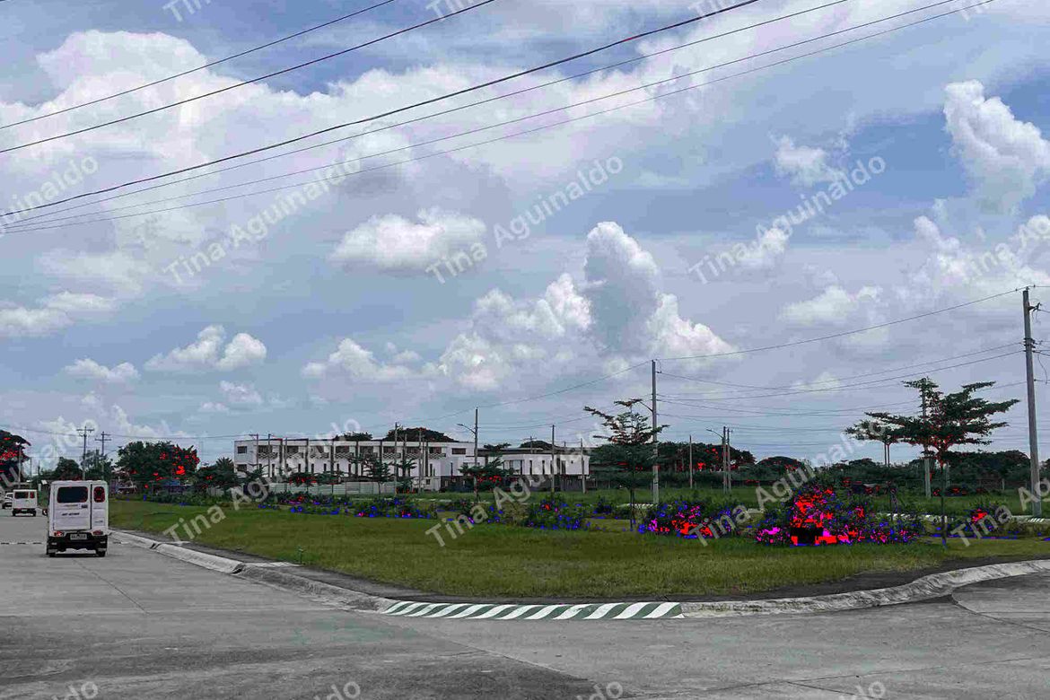 Land for Sale in Talaga, Capas, Tarlac – photo 8