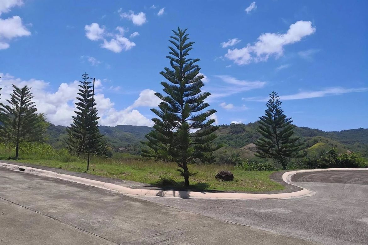 Land for Sale in Talamban, Cebu City, Cebu