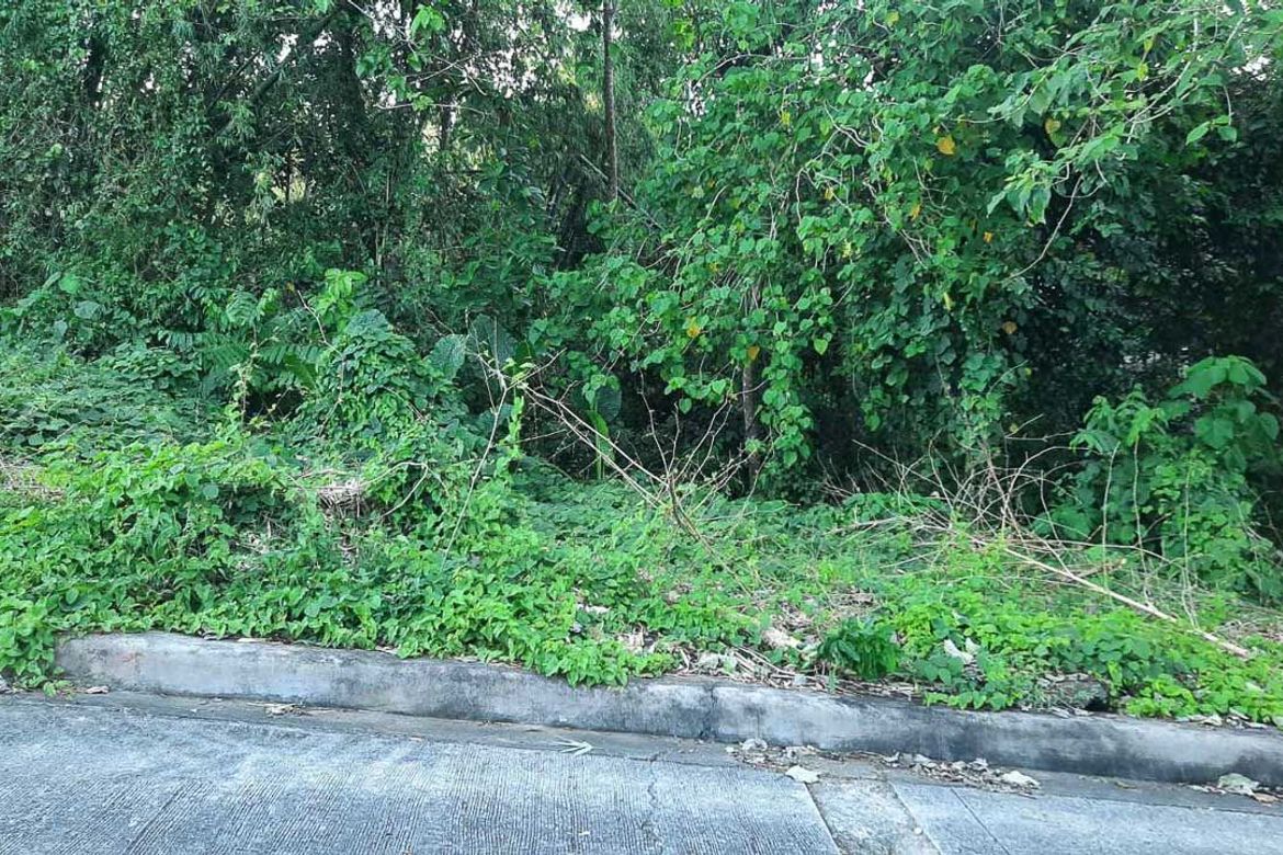 Land for Sale in Talamban, Cebu City, Cebu – photo 2