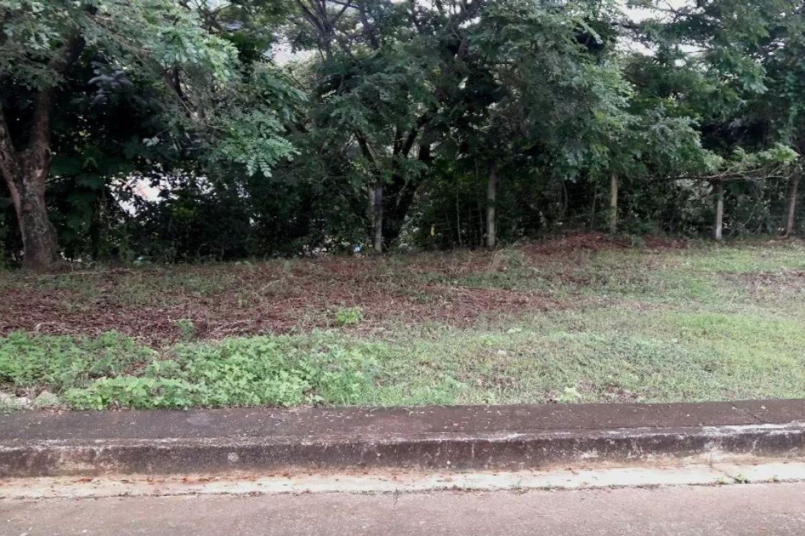 Land for Sale in Talamban, Cebu City, Cebu