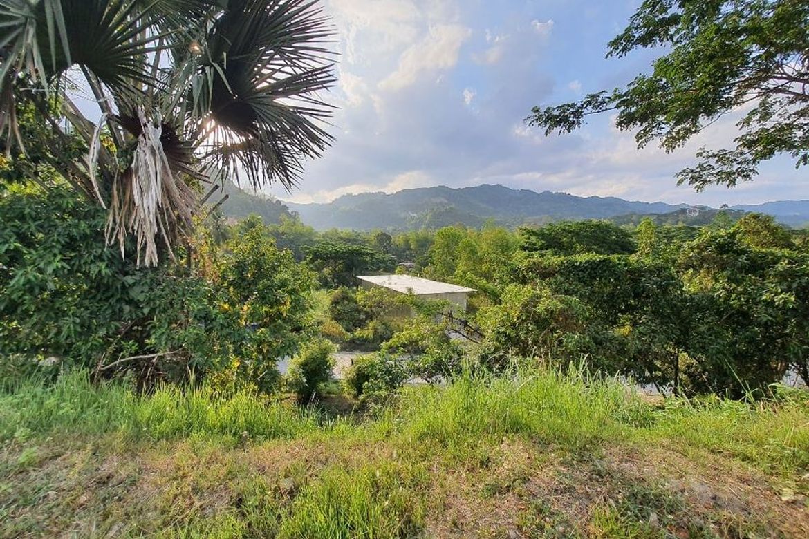 Land for Sale in Talamban, Cebu City, Cebu