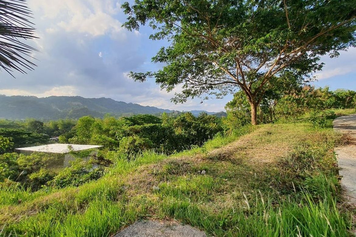 Land for Sale in Talamban, Cebu City, Cebu – photo 3