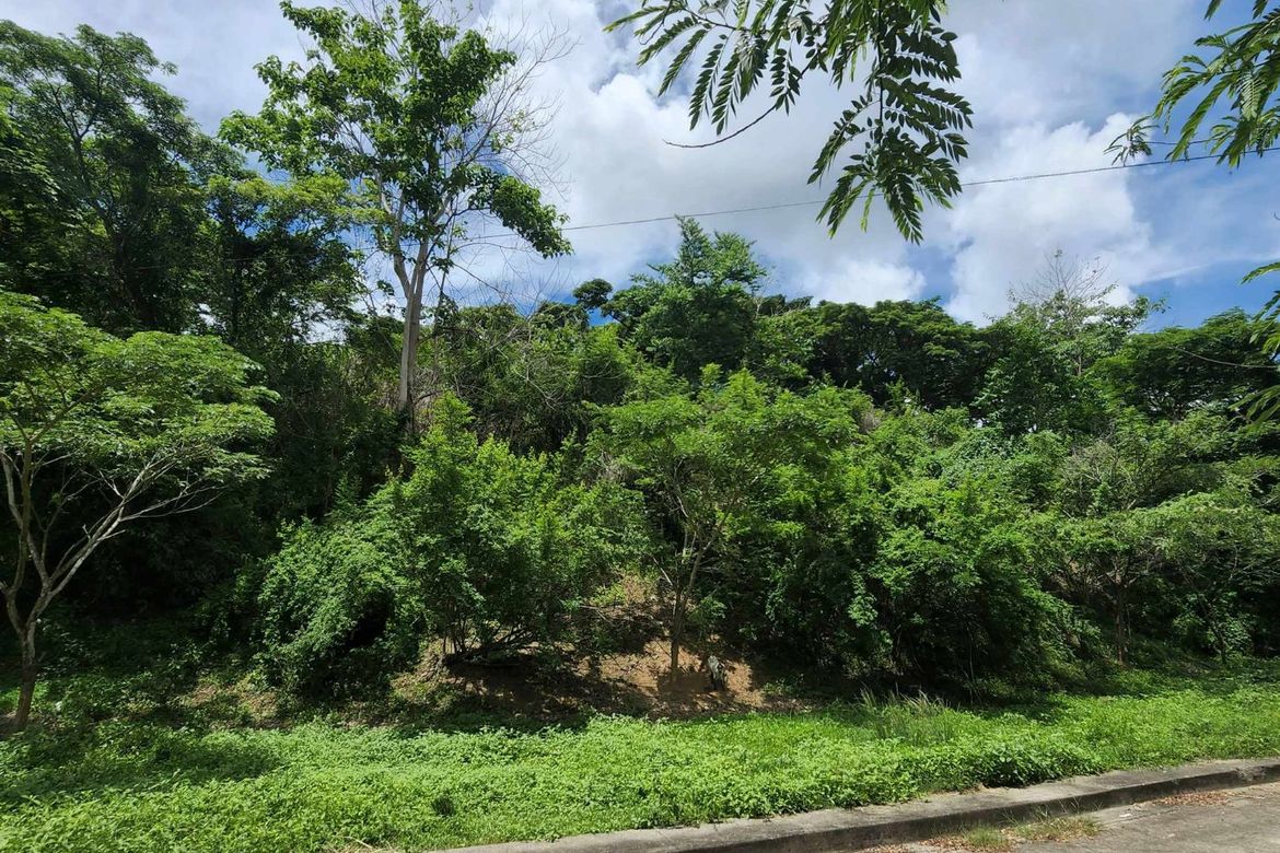 Land for Sale in Talamban, Cebu City, Cebu