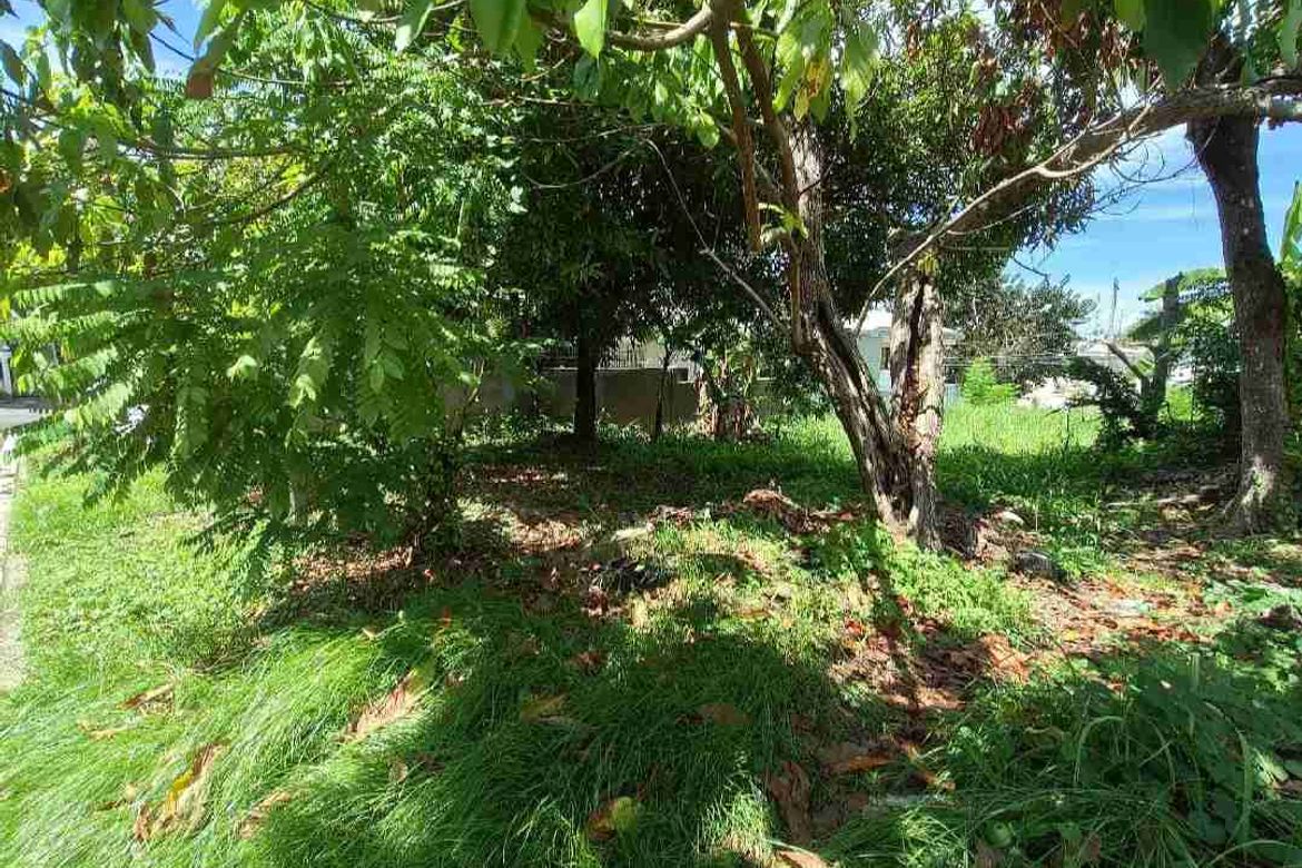 Land for Sale in Talamban, Cebu City, Cebu – photo 4