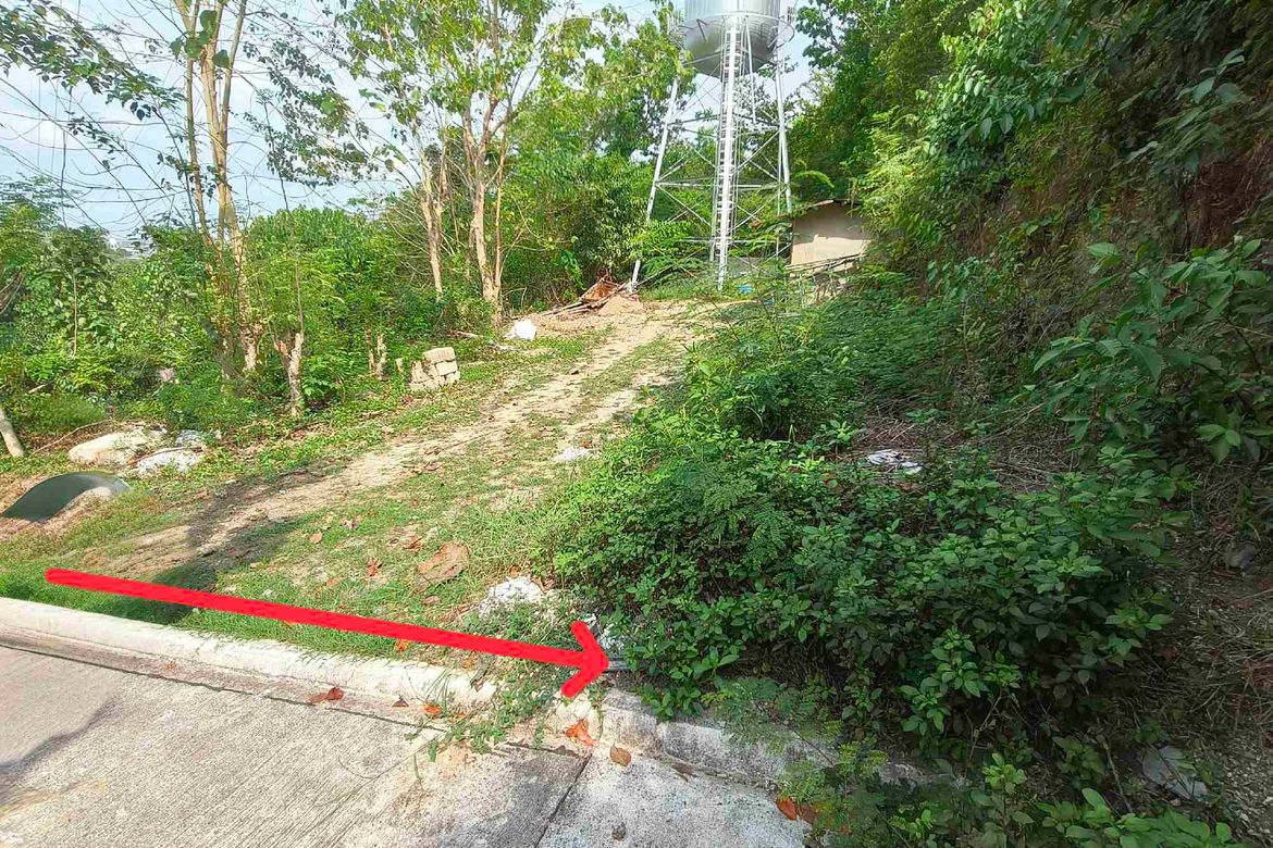 Land for Sale in Talamban, Cebu City, Cebu