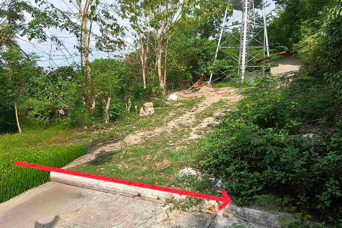 Land for Sale in Talamban, Cebu City, Cebu – photo 2