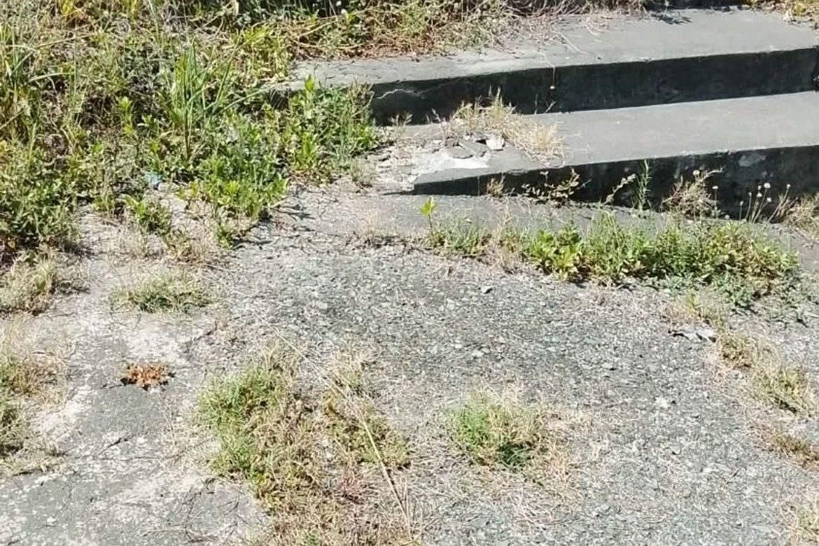 Land for Sale in Talamban, Cebu City, Cebu – photo 3