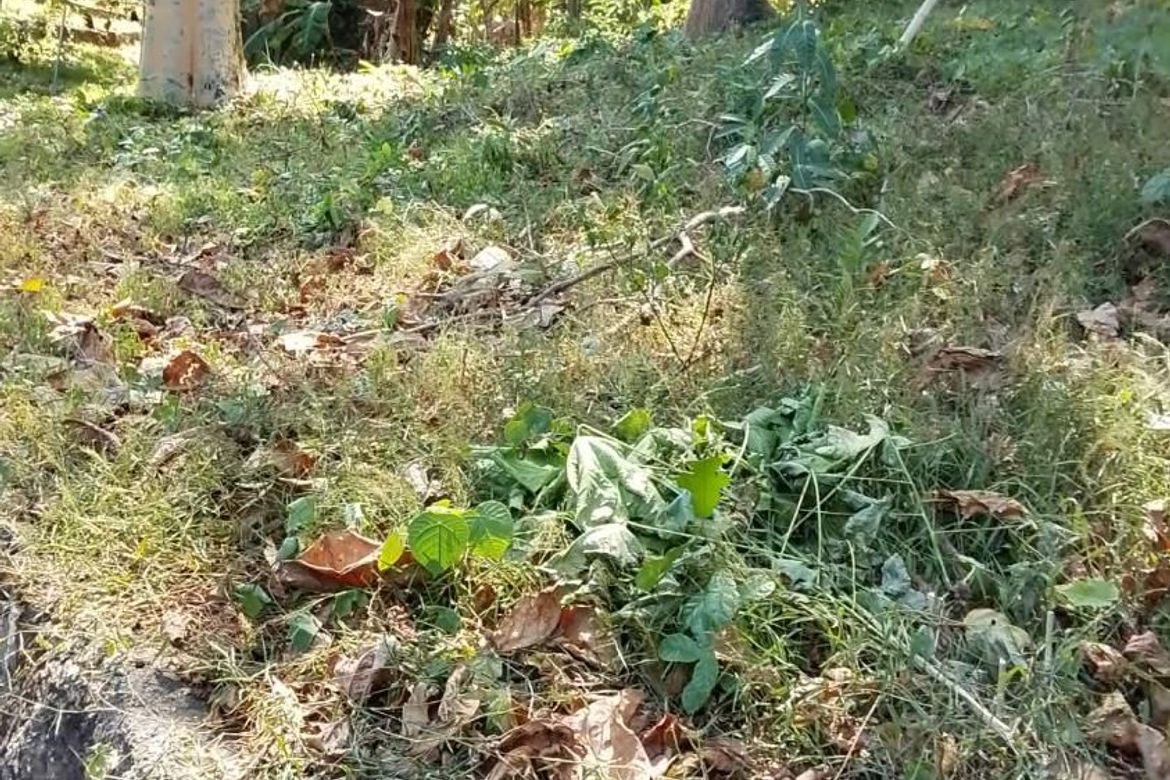Land for Sale in Talamban, Cebu City, Cebu – photo 6