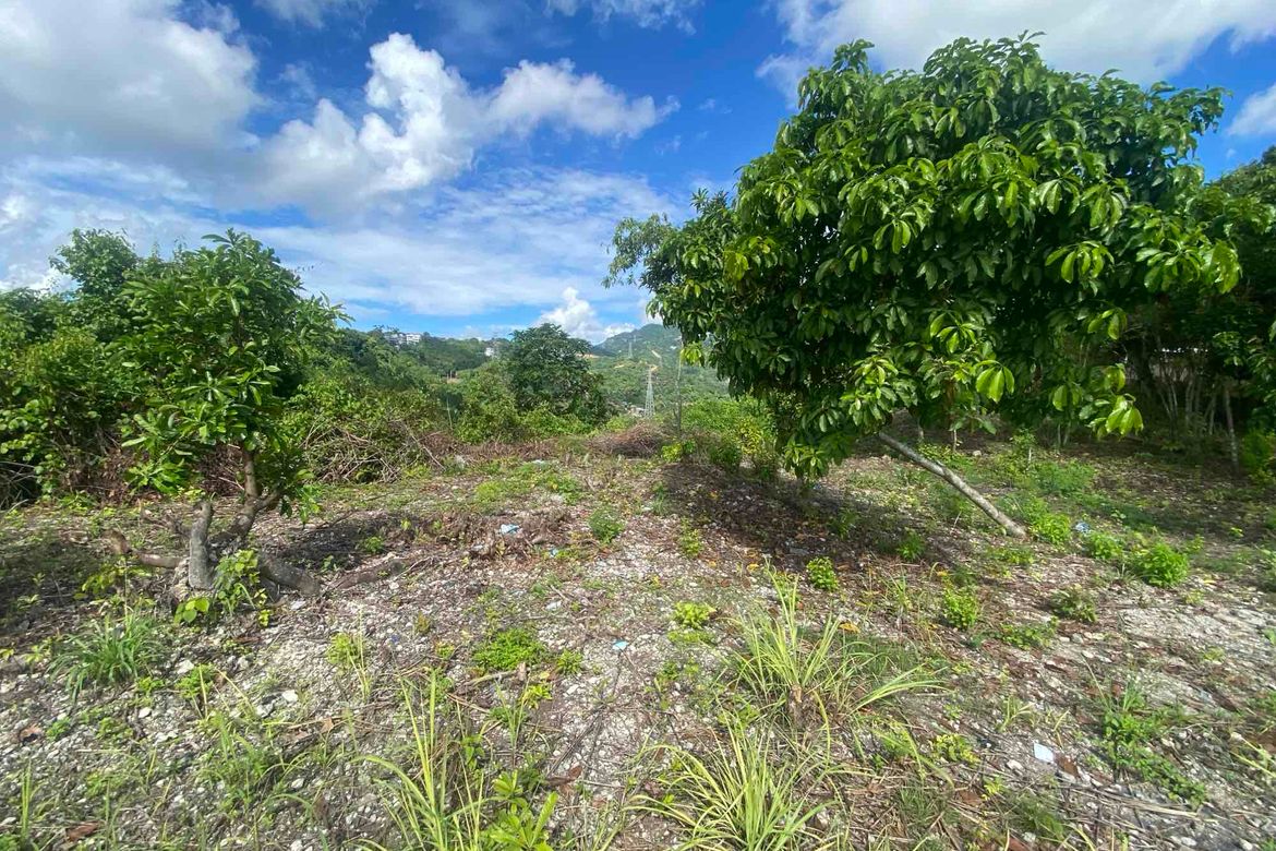 Land for Sale in Talamban, Cebu City, Cebu – photo 4