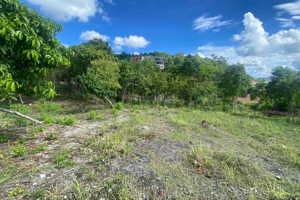 Land for Sale in Talamban, Cebu City, Cebu – photo 7